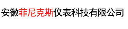 安徽菲尼克斯仪表科技有限公司